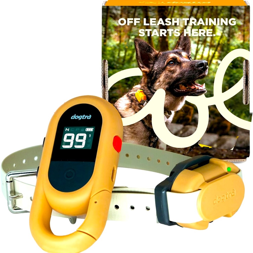 Dogtra CUE GEN 2 tan. Plus additional collar for 2nd dog in gray